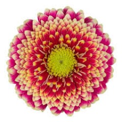 Seller Image